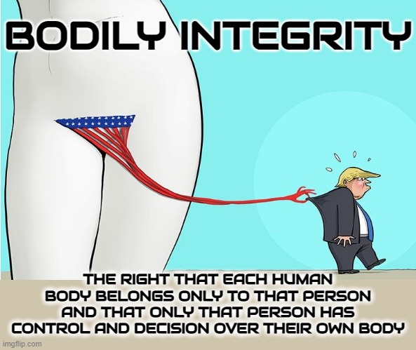 BODILY INTEGRITY | BODILY INTEGRITY; THE RIGHT THAT EACH HUMAN BODY BELONGS ONLY TO THAT PERSON AND THAT ONLY THAT PERSON HAS CONTROL AND DECISION OVER THEIR OWN BODY | image tagged in bodily integrity,human rights,autonomy,reproductive rights,pro-choice,freedom | made w/ Imgflip meme maker