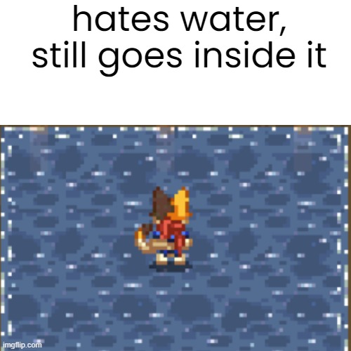 Hates water, goes in it | hates water, still goes inside it | image tagged in funny | made w/ Imgflip meme maker