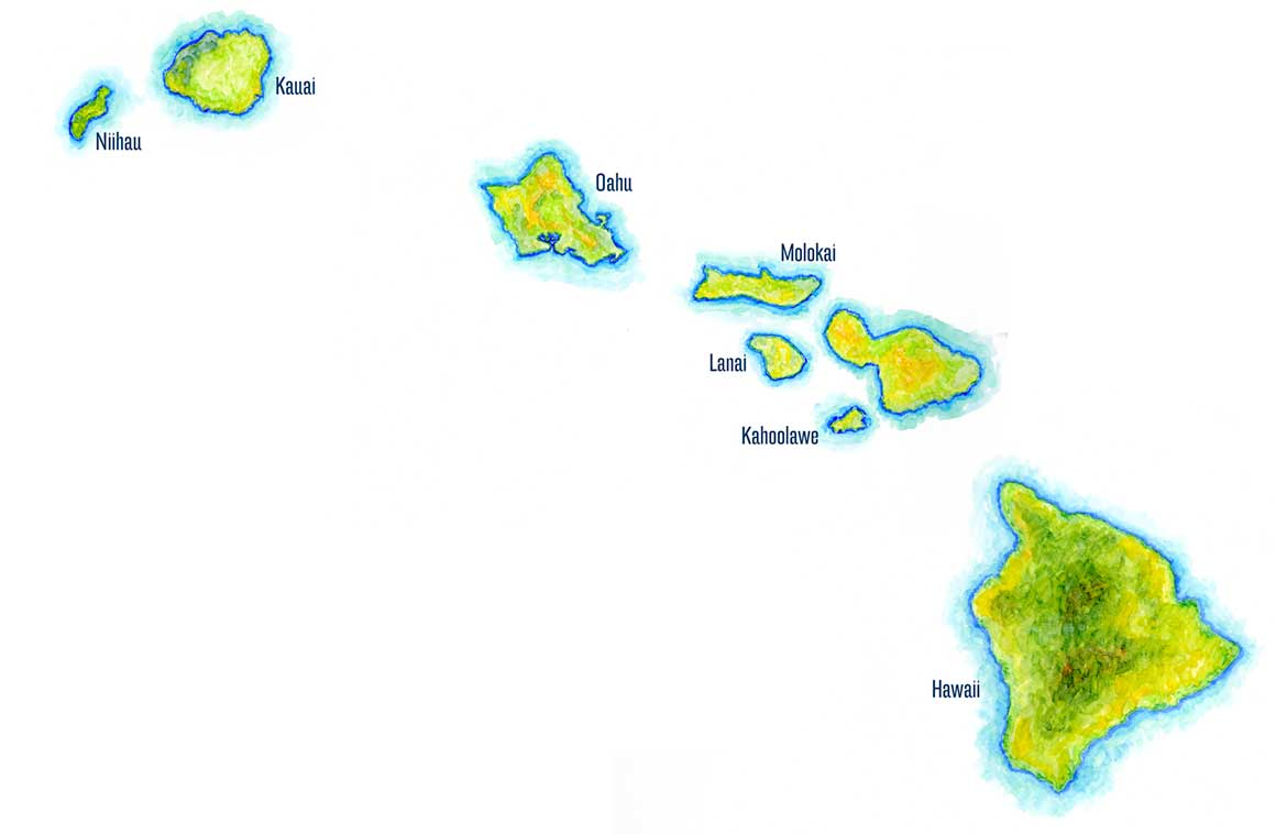 High Quality Hawaii Map Blank Meme Template