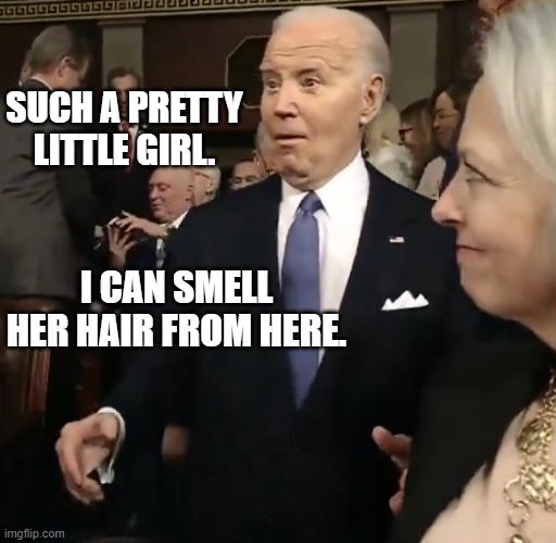 Biden pretty girl | SUCH A PRETTY LITTLE GIRL. I CAN SMELL HER HAIR FROM HERE. | image tagged in biden pretty girl | made w/ Imgflip meme maker