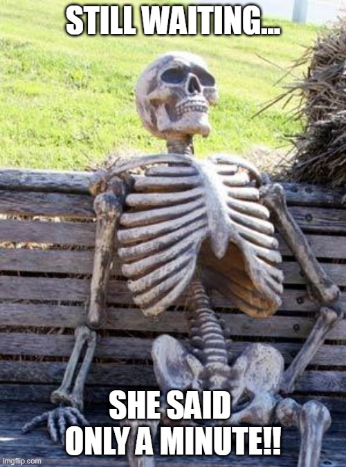 Waiting Skeleton | STILL WAITING... SHE SAID  ONLY A MINUTE!! | image tagged in memes,waiting skeleton | made w/ Imgflip meme maker