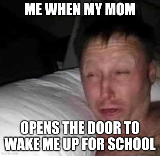 relatable | ME WHEN MY MOM; OPENS THE DOOR TO WAKE ME UP FOR SCHOOL | image tagged in sleepy guy,relatable memes | made w/ Imgflip meme maker