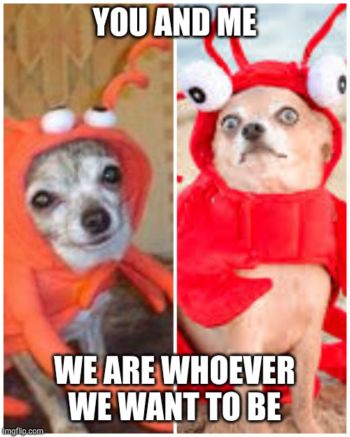Living our best life | YOU AND ME; WE ARE WHOEVER WE WANT TO BE | image tagged in dogs crab same outfit,born this way,memes,swimsuit,costumes,crabs | made w/ Imgflip meme maker