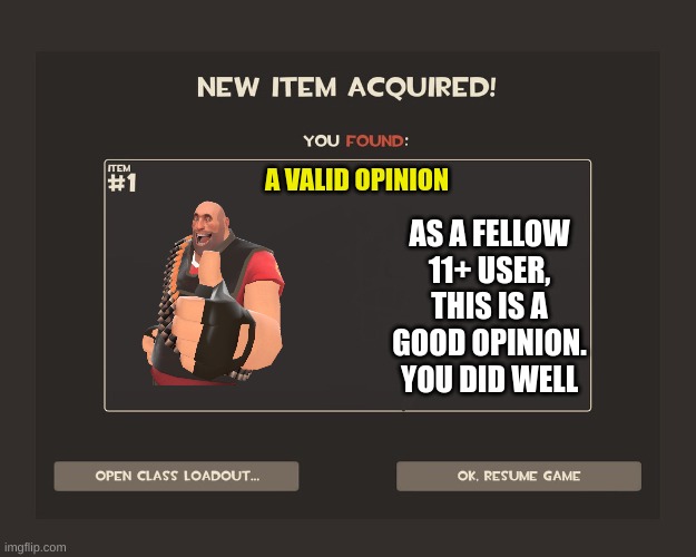 You got tf2 shit | A VALID OPINION AS A FELLOW 11+ USER, THIS IS A GOOD OPINION. YOU DID WELL | image tagged in you got tf2 shit | made w/ Imgflip meme maker