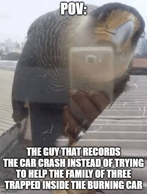 A raptor is recording me | POV:; THE GUY THAT RECORDS THE CAR CRASH INSTEAD OF TRYING TO HELP THE FAMILY OF THREE TRAPPED INSIDE THE BURNING CAR | image tagged in a raptor is recording me | made w/ Imgflip meme maker