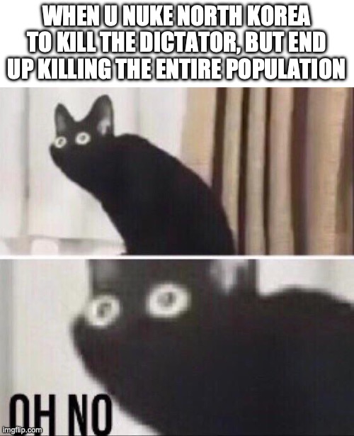 oof moment | WHEN U NUKE NORTH KOREA TO KILL THE DICTATOR, BUT END UP KILLING THE ENTIRE POPULATION | image tagged in oh no cat | made w/ Imgflip meme maker