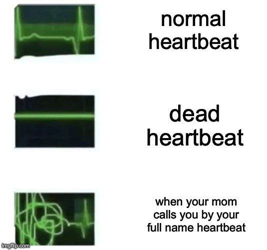 embarrassing af | normal heartbeat; dead heartbeat; when your mom calls you by your full name heartbeat | image tagged in heart beat goes insane | made w/ Imgflip meme maker