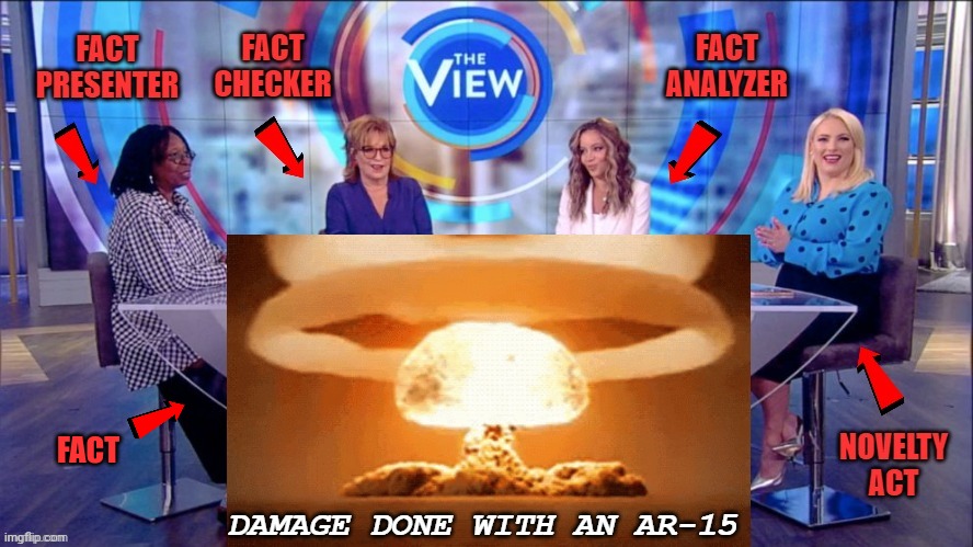 "The View" explained | FACT | made w/ Imgflip meme maker