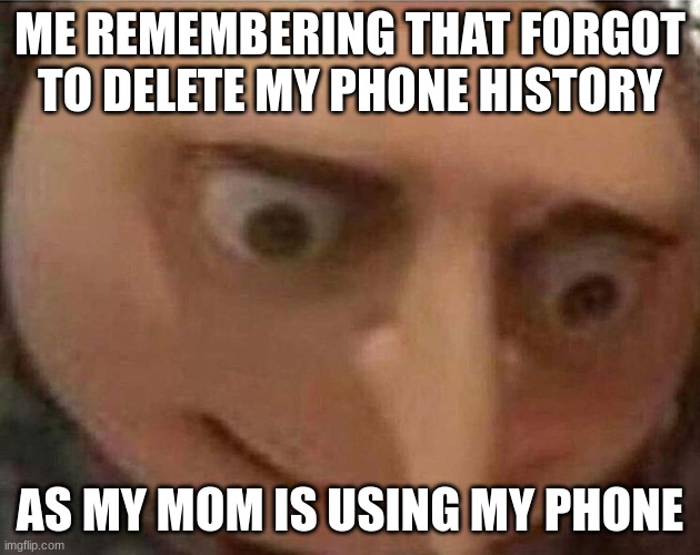 gru meme | ME REMEMBERING THAT FORGOT TO DELETE MY PHONE HISTORY; AS MY MOM IS USING MY PHONE | image tagged in gru meme | made w/ Imgflip meme maker