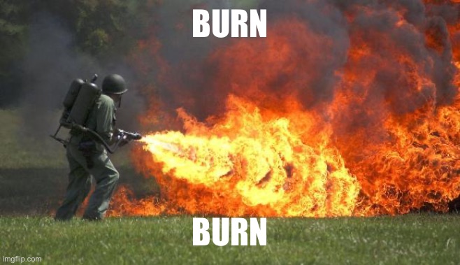 Burn | BURN; BURN | image tagged in burn | made w/ Imgflip meme maker