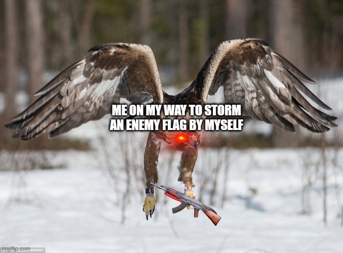 Stabby The Eagle | ME ON MY WAY TO STORM AN ENEMY FLAG BY MYSELF | image tagged in stabby the eagle | made w/ Imgflip meme maker