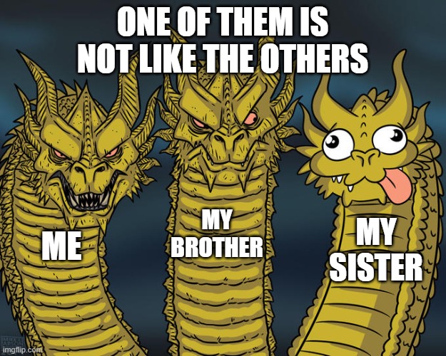 Three-headed Dragon | ONE OF THEM IS NOT LIKE THE OTHERS; MY BROTHER; MY SISTER; ME | image tagged in three-headed dragon | made w/ Imgflip meme maker