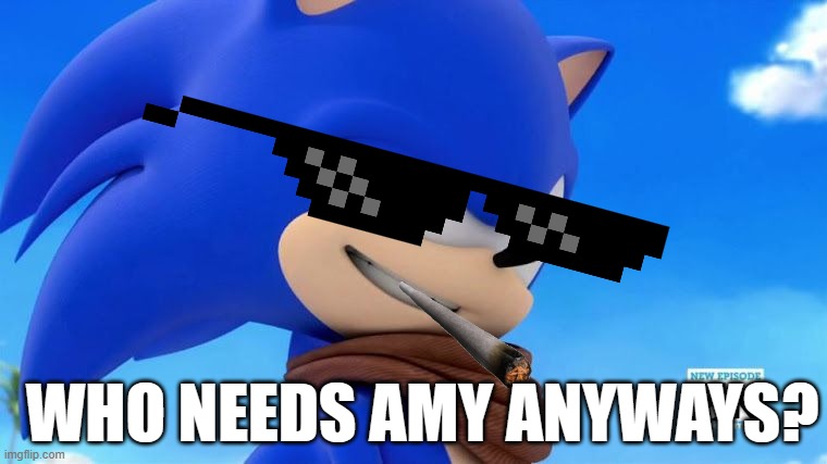 Sonic Meme | WHO NEEDS AMY ANYWAYS? | image tagged in sonic meme | made w/ Imgflip meme maker