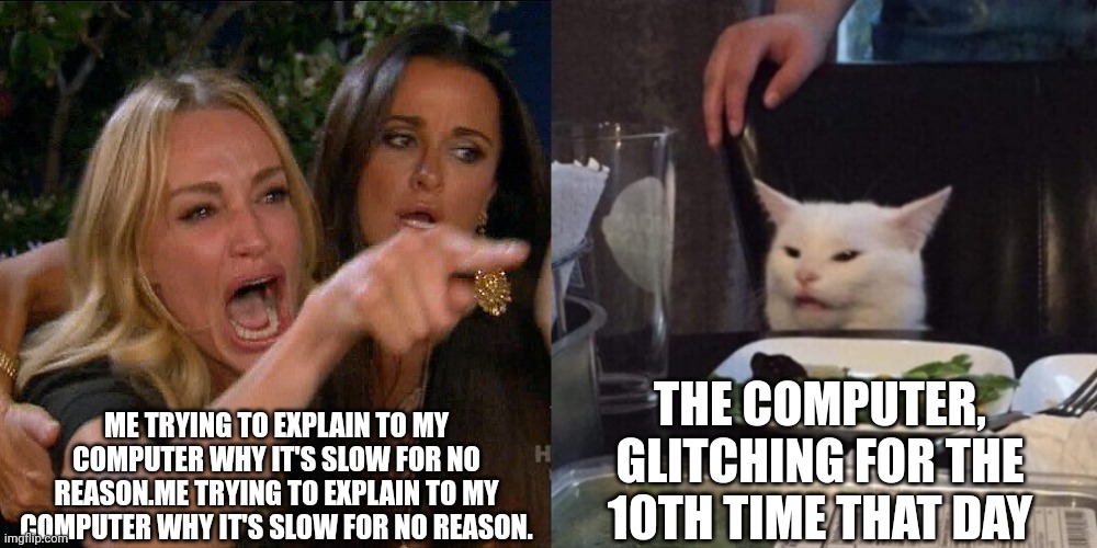 Woman yelling at cat | ME TRYING TO EXPLAIN TO MY COMPUTER WHY IT'S SLOW FOR NO REASON.ME TRYING TO EXPLAIN TO MY COMPUTER WHY IT'S SLOW FOR NO REASON. THE COMPUTER, GLITCHING FOR THE 10TH TIME THAT DAY | image tagged in woman yelling at cat | made w/ Imgflip meme maker