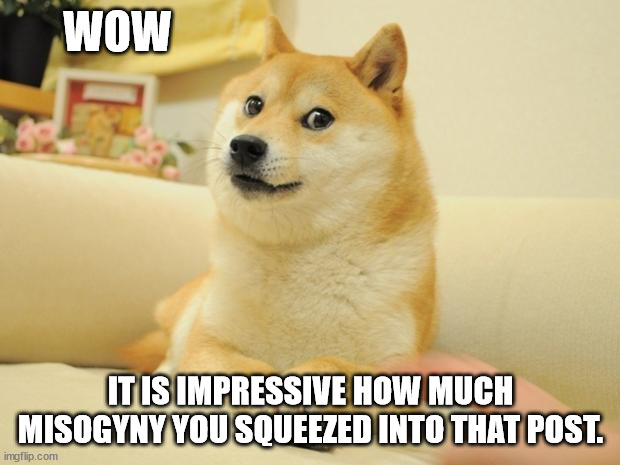 Doge 2 Meme | WOW IT IS IMPRESSIVE HOW MUCH MISOGYNY YOU SQUEEZED INTO THAT POST. | image tagged in memes,doge 2 | made w/ Imgflip meme maker