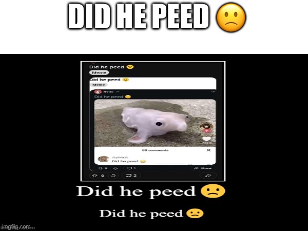 Did he peed ? | DID HE PEED 🙁 | image tagged in memes,pee,animals,what | made w/ Imgflip meme maker