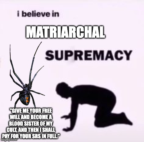 Based trans-positive matriarchy moment? | MATRIARCHAL; "GIVE ME YOUR FREE WILL AND BECOME A BLOOD SISTER OF MY CULT, AND THEN I SHALL PAY FOR YOUR SRS IN FULL." | image tagged in i believe in supremacy,matriarchal,matriarchy,spider,srs,cult | made w/ Imgflip meme maker