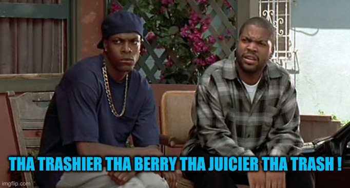 friday movie | THA TRASHIER THA BERRY THA JUICIER THA TRASH ! | image tagged in friday movie | made w/ Imgflip meme maker