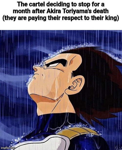 Rest in peace fr | The cartel deciding to stop for a month after Akira Toriyama's death (they are paying their respect to their king) | image tagged in vegeta in the rain,msmg,dragon ball z,oh wow are you actually reading these tags | made w/ Imgflip meme maker