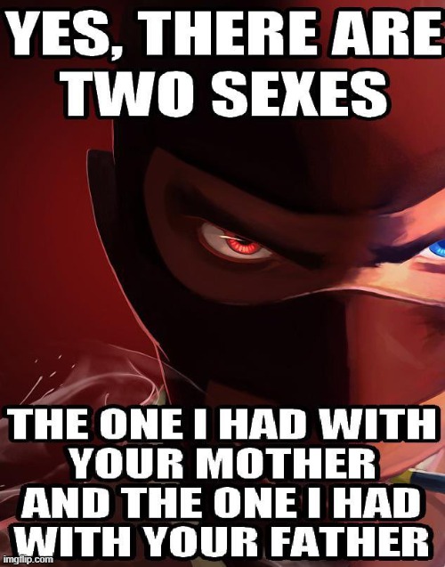 image tagged in tf2 | made w/ Imgflip meme maker