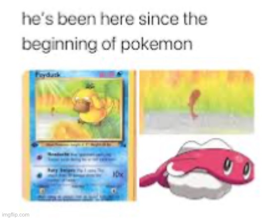 image tagged in pokemon | made w/ Imgflip meme maker