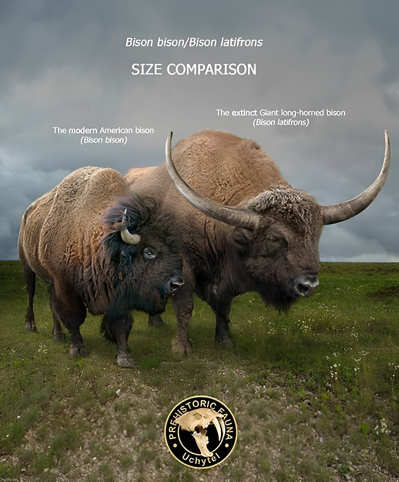 Giant longhorn bison went extinct 450 years ago because the Ice Age ended 10,000 years ago | image tagged in bison latifrons,giant longhorn bison,might have still been in alaska 450 years ago,prehistoric fauna | made w/ Imgflip meme maker