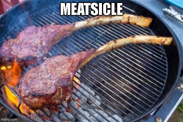 MEATSICLE | image tagged in funny memes | made w/ Imgflip meme maker