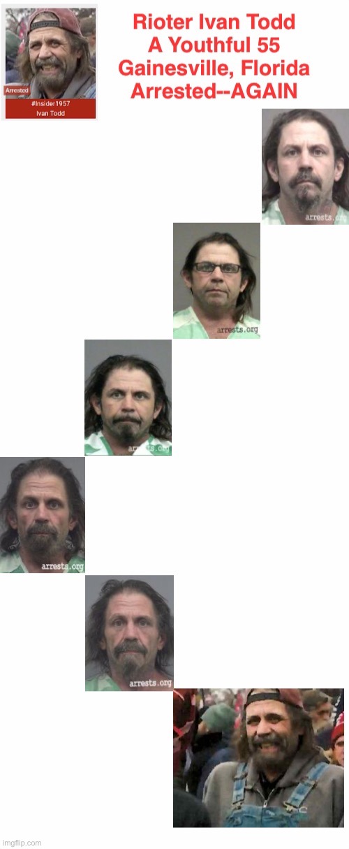 Arrestee Development--Poor Overall Performance | image tagged in domestic terrorist,career criminal,tuff louse when in a crowd,treason | made w/ Imgflip meme maker