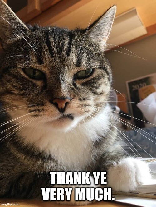 Cat Sneer | THANK YE VERY MUCH. | image tagged in cat sneer | made w/ Imgflip meme maker