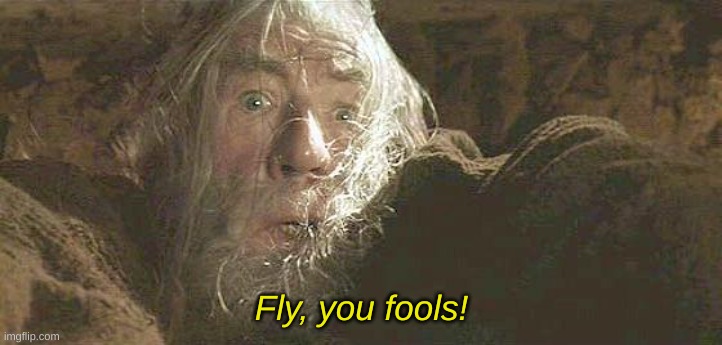 Gandalf Fly You Fools | Fly, you fools! | image tagged in gandalf fly you fools | made w/ Imgflip meme maker