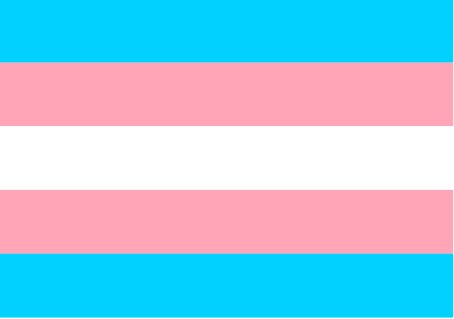 High Quality Trans Flag Blank Meme Template