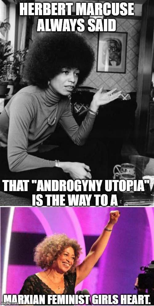 THE NEW LEFT was new in the '60's and is EVOLVING with DEI and Social Credit Scores | HERBERT MARCUSE
ALWAYS SAID; THAT "ANDROGYNY UTOPIA"
IS THE WAY TO A; MARXIAN FEMINIST GIRLS HEART. | image tagged in angela davis activist,transphobic,feminism,marxism,black lives matter,democracy | made w/ Imgflip meme maker