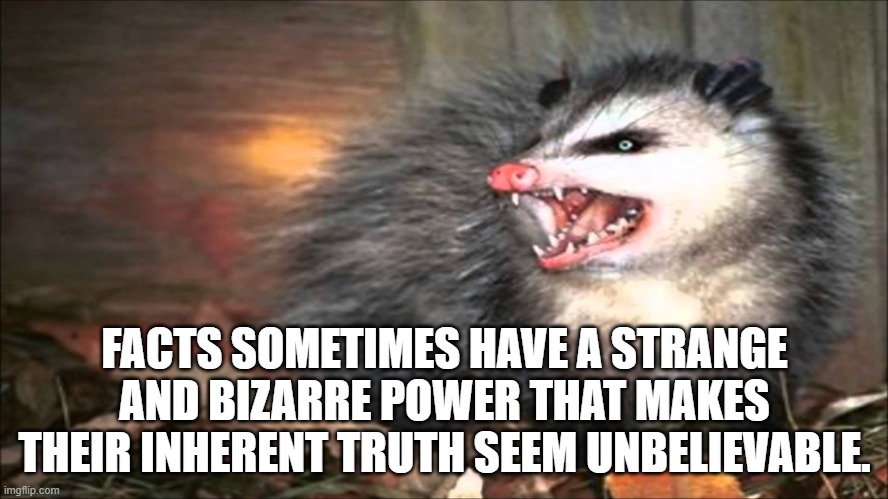 opossum | FACTS SOMETIMES HAVE A STRANGE AND BIZARRE POWER THAT MAKES THEIR INHERENT TRUTH SEEM UNBELIEVABLE. | image tagged in opossum | made w/ Imgflip meme maker