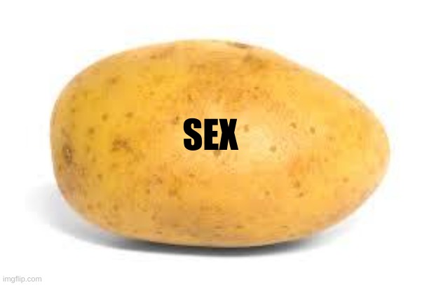 Potato | SEX | image tagged in potato | made w/ Imgflip meme maker