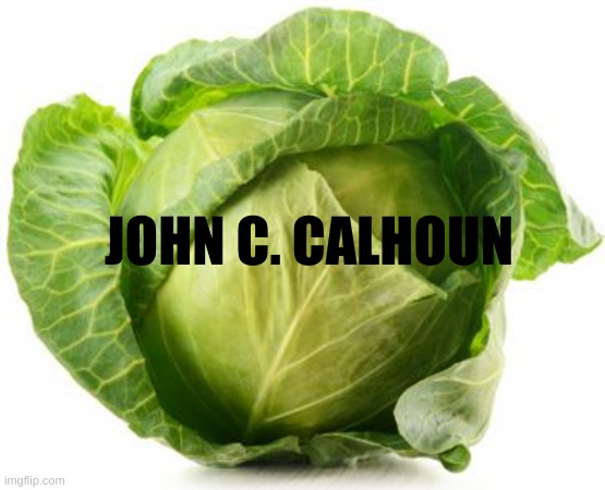 Cabbage | JOHN C. CALHOUN | image tagged in cabbage | made w/ Imgflip meme maker