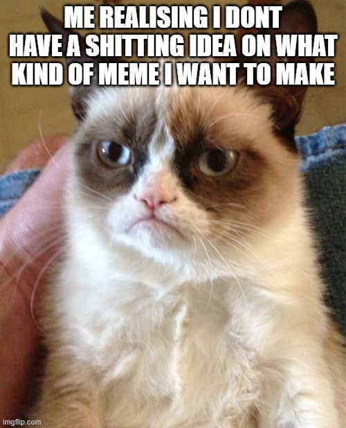 I dont know | ME REALISING I DONT HAVE A SHITTING IDEA ON WHAT KIND OF MEME I WANT TO MAKE | image tagged in memes,grumpy cat,cat,cats | made w/ Imgflip meme maker