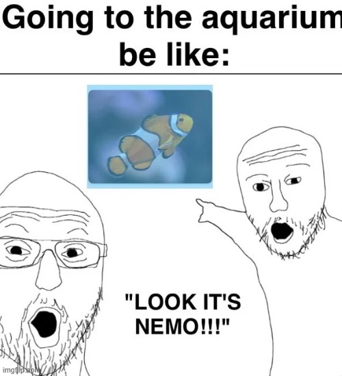 image tagged in aquarium,nemo,finding nemo | made w/ Imgflip meme maker