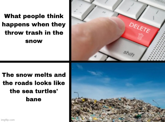 The world might as well be one big landfill. | image tagged in trash,snow,delete,turtles,bane | made w/ Imgflip meme maker