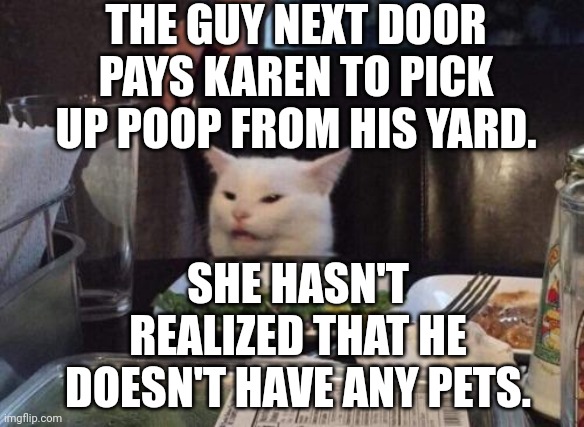 Salad cat | THE GUY NEXT DOOR PAYS KAREN TO PICK UP POOP FROM HIS YARD. SHE HASN'T REALIZED THAT HE DOESN'T HAVE ANY PETS. | image tagged in salad cat | made w/ Imgflip meme maker