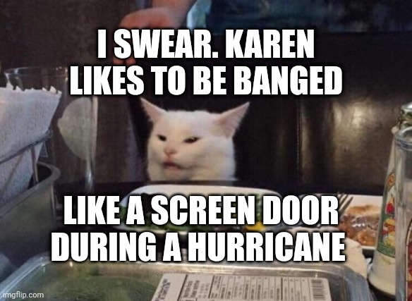 Salad cat | I SWEAR. KAREN LIKES TO BE BANGED; LIKE A SCREEN DOOR DURING A HURRICANE | image tagged in salad cat | made w/ Imgflip meme maker