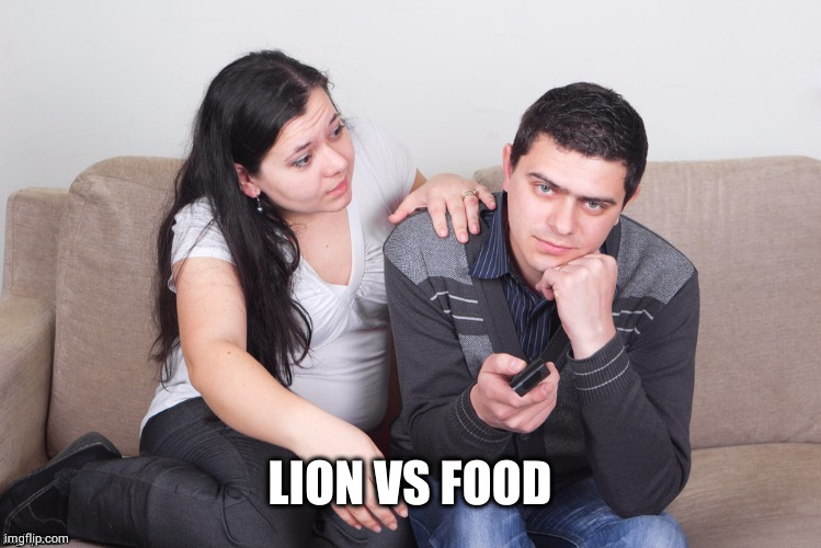 Watch TV | LION VS FOOD | image tagged in watch tv | made w/ Imgflip meme maker
