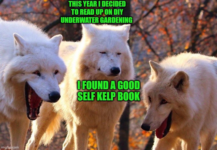 2/3 wolves laugh | THIS YEAR I DECIDED TO READ UP ON DIY UNDERWATER GARDENING; I FOUND A GOOD SELF KELP BOOK | image tagged in 2/3 wolves laugh | made w/ Imgflip meme maker