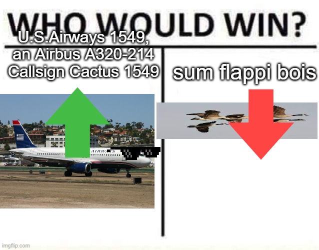 VOTE!!! | sum flappi bois; U.S.Airways 1549, an Airbus A320-214 Callsign Cactus 1549 | image tagged in who would win | made w/ Imgflip meme maker