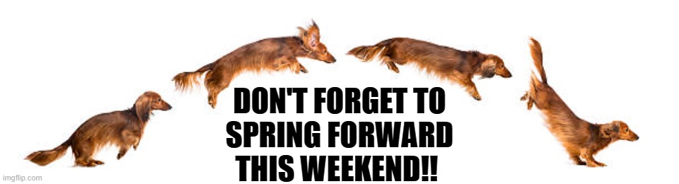 Spring Forward | DON'T FORGET TO
SPRING FORWARD
THIS WEEKEND!! | image tagged in memes | made w/ Imgflip meme maker