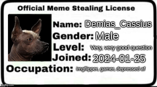 Meme Stealing License | Demias_Cassius Male Very, very good question 2024-01-25 imgflipper, gamer, depressed af | image tagged in meme stealing license | made w/ Imgflip meme maker