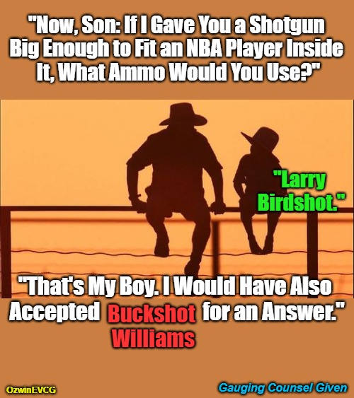 Gauging Counsel Given | "Now, Son: If I Gave You a Shotgun 

Big Enough to Fit an NBA Player Inside 

It, What Ammo Would You Use?"; "Larry 

Birdshot."; "That's My Boy. I Would Have Also 
Accepted                         for an Answer."; Buckshot 
Williams; Gauging Counsel Given; OzwinEVCG | image tagged in cowboy father and son,family life,eyeroll memes,questions,basketball,answers | made w/ Imgflip meme maker