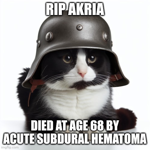Just to give context on how he died | RIP AKRIA; DIED AT AGE 68 BY ACUTE SUBDURAL HEMATOMA | image tagged in kaiser_floppa_the_1st silly post | made w/ Imgflip meme maker