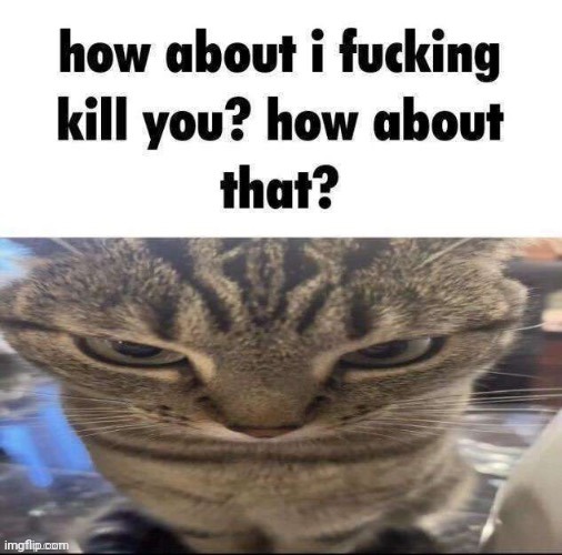 How about I kill you | image tagged in how about i kill you | made w/ Imgflip meme maker