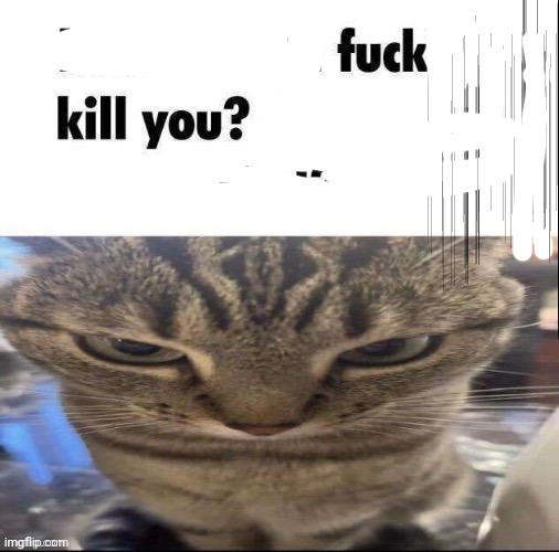 How about I kill you | image tagged in how about i kill you | made w/ Imgflip meme maker