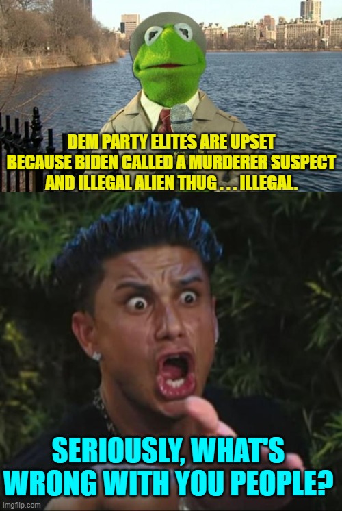 Everything is wrong with them; which is why we just call them leftists. | DEM PARTY ELITES ARE UPSET BECAUSE BIDEN CALLED A MURDERER SUSPECT AND ILLEGAL ALIEN THUG . . . ILLEGAL. SERIOUSLY, WHAT'S WRONG WITH YOU PEOPLE? | image tagged in kermit news report | made w/ Imgflip meme maker